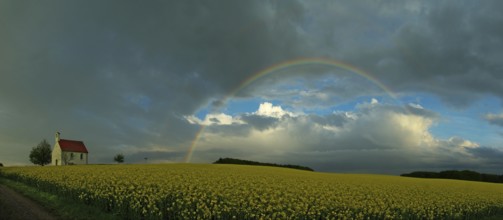 Panorama, chapel and rainbow over a rapeseed field