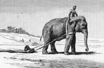 Dr Paul Neis undertook a scientific mission to Cochinchina and Laos on behalf of the French