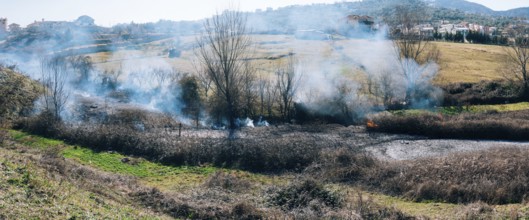 Fire in the woods in the afternoon. Albanian forest is burning near the highway