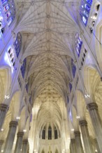 Saint Patrick's Old Cathedral or Old St. Patrick's, Lower Manhattan, High, Gothic vaulted ceiling
