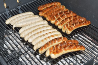 Grilled sausages on a whole background, sausages on a charcoal grill