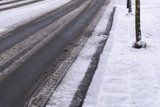 Fresh snow covering a road and sidewalk next to trees in winter