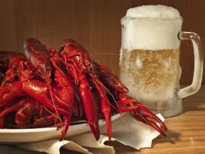 Red boiled crawfishes on plate and beer