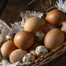 Fresh eggs straight from the farm in a basket