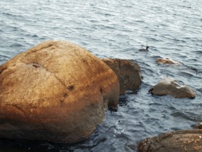 Red granite stones in the water with ripples
