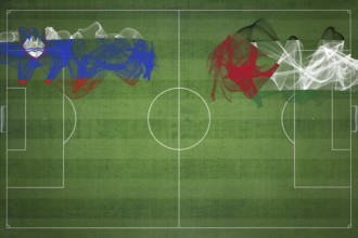 Slovenia vs Palestine Soccer Match, national colors, national flags, soccer field, football game,