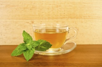 Herbal tea in a glass cup with mint on a background of wooden boards