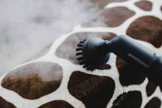 A steam cleaner with a brush head cleaning a giraffe-patterned surface