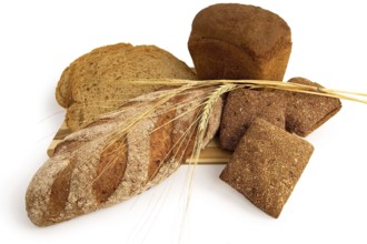 Various rye bread with a wooden board with stems of rye isolated on a white background, Russia,