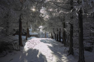 A lovely sunny Christmas Day. Snowy cozy ski hotel