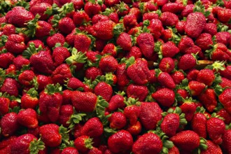 Basket of fresh strawberries at a market