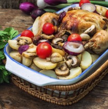 Young chicken baked with potatoes, mushrooms and vegetables in the baking dish.Photo tinted