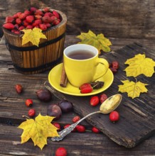 Dogrose berries and maple autumn leaves against the yellow saucer