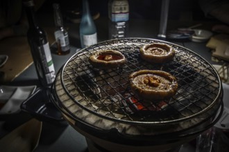 Charcoal-grilled of the image in charcoal stove. Shooting Location: Yokohama-city kanagawa