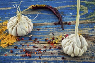 Garlic, pepper and seasoning on wooden vintage background.selective focus