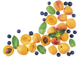 Apricot, blueberry and mint, isolated
