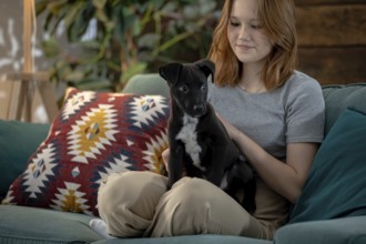 Ein gemütlicher und herzerwärmender Moment im Haus zwischen einem Hund und seinem liebevollen