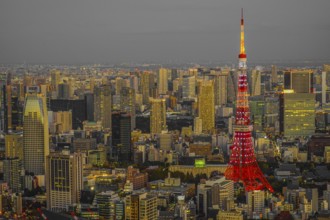 Tokyo Tower and Tokyo Tower. Shooting Location: Tokyo metropolitan area