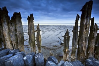 Wooden dike and mud at low tide on north sea