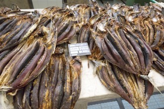 Stockfish at a fish market