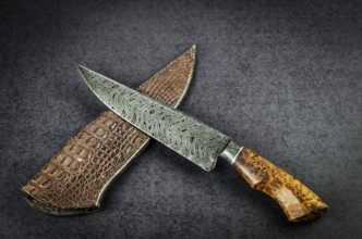 Beautiful luxurious utility knife in Texas Wind damask pattern with noble wood handle on dark