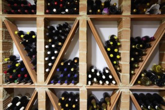 Wine Cellar from Mediterranean with bottles stacked in rows