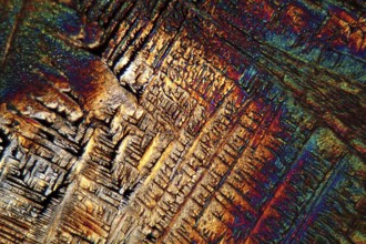 Paracetamol crystals under the microscope