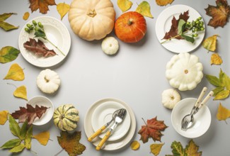 Thanksgiving festive table composition with different colourful pumpkins, autumn leaves, empty