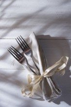Presentation of two forks on the table for fine dining