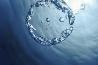 Bubble Ring Underwater ascends towards the Sun