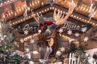 Christmas market hut with elk and Christmas decorations