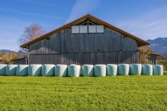 Barn with grass in round bales, round bale silage, on the Schweineberg, blue sky, near
