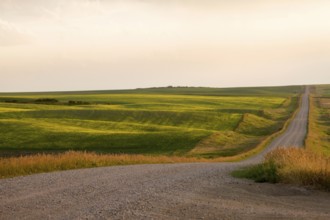 Prairie Scene Saskatchewan summer crop harvest Canada