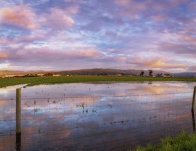 A barbed wire fence crosses a flooded pasture at sunset., Northern California, USA, North America