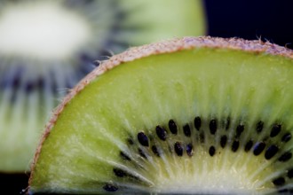 Kiwi Fruit Macro studio shot close up green