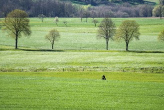 Cycle Route R1, near Gewissenruh, Wesertal, Weserbergland, Hesse, Germany, Europe