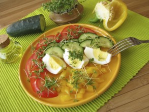 Colourful salad with cress and egg