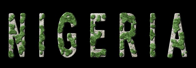 Nigeria Reforestation and Climate Message, Sustainable Green Typography, Green Agenda