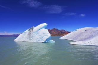 Huge white and blue icebergs floating in the icy water of emerald lake in Argentina. Unique lake