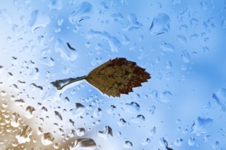 Autumn rain water drops glass abstract background