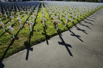 A field of crosses represents those who died in the Great War for a memorial on Anzac Day in