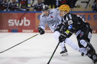 Eisarena Bremerhaven, Bremerhaven, Bremen, Fabian Herrmann (Fischtown Pinguins, #25), PENNY DEL,