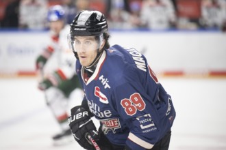 Laura Dick Cologne, LanxessArena, North Rhine-Westphalia, Gregor Macleod (Cologne Sharks, #89),