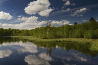 Clouds reflecting at the Lake Rotes Moor, Rhön, Hesse, Germany, Europe