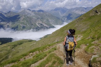 Hill of Hourqueta d´Allanz, Pyrenees National Park, Hautes-Pyrenees, France, Europe