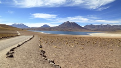 Laguna Miscanti in the Atacama Desert in Chile