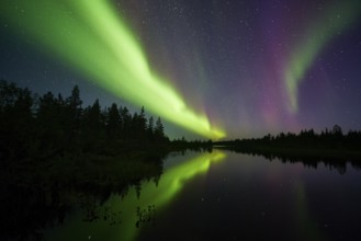 Northern Lights (Aurora borealis) over a lake, Norrbotten, Lapland, Sweden, September 2014, Europe