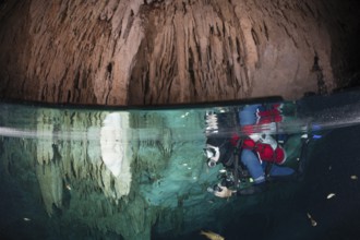 Diver in Bat Cave Cenote, Playa del Carmen, Yucatan Peninsula, Mexico, Central America