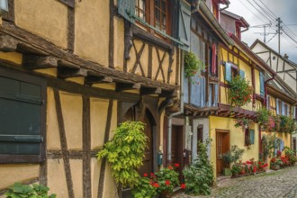Picturesque historical street in Eguisheim, Alsace, France, Europe