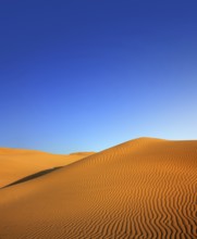 Beatiful evening landscape in desert
